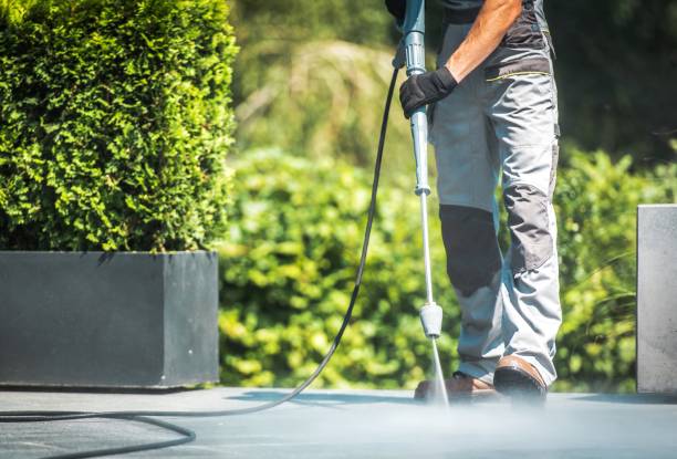 Best House Exterior Washing  in Harrison, NY