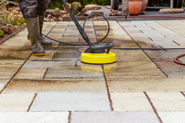 Best Gutter Cleaning  in Harrison, NY