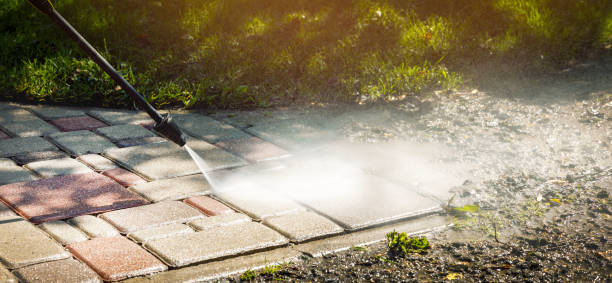Best Dumpster Area Cleaning  in Harrison, NY